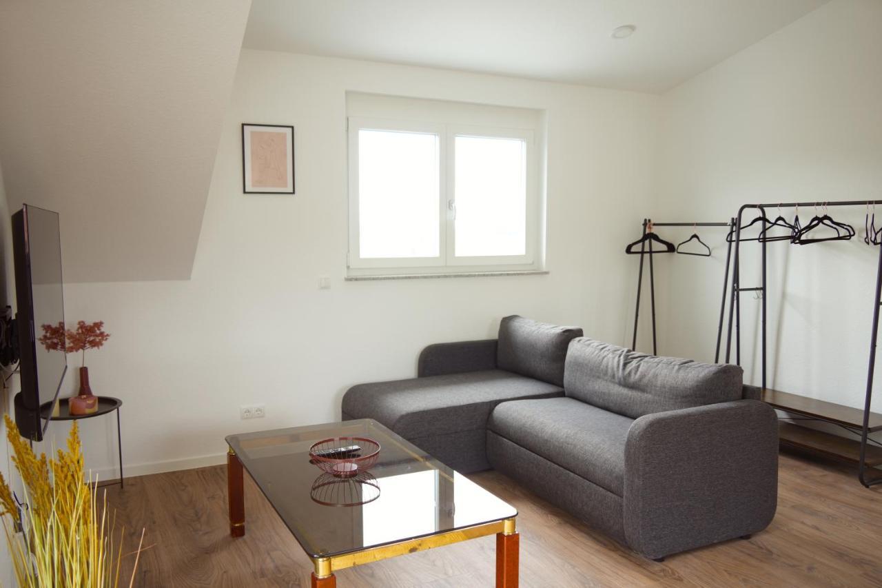Exklusive Neubauwohnung Mit Wundervoller Aussicht Naehe Europapark Und Rulantica Burgheim Ngoại thất bức ảnh