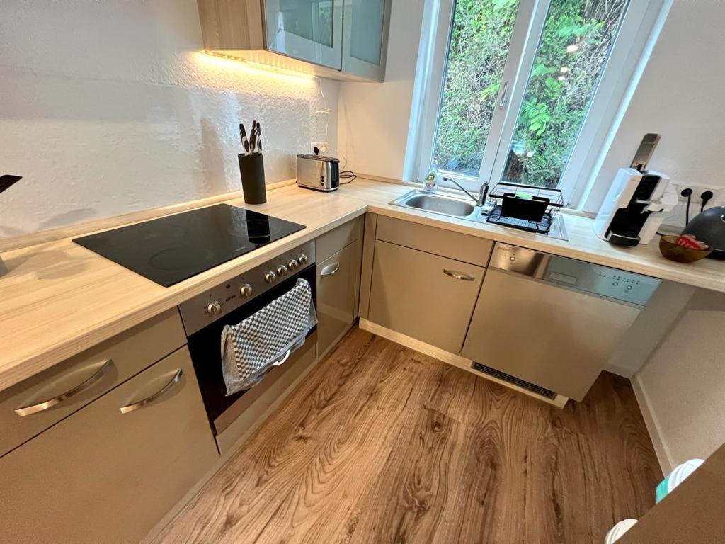 Exklusive Neubauwohnung Mit Wundervoller Aussicht Naehe Europapark Und Rulantica Burgheim Ngoại thất bức ảnh